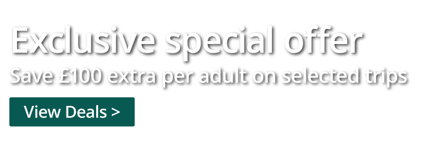 Exclusive Special Offer